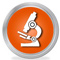 Pubblicazione Scientifica