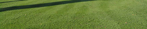 Golf 1